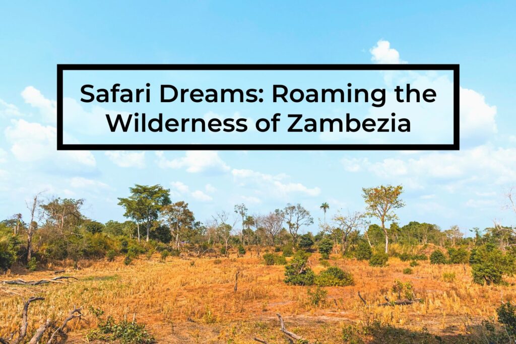 Safari-Dreams-Roaming-the-Wilderness-of-Zambezia