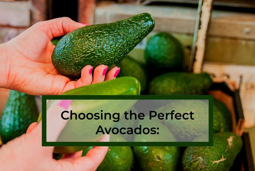 Choosing-the-Perfect-Avocados