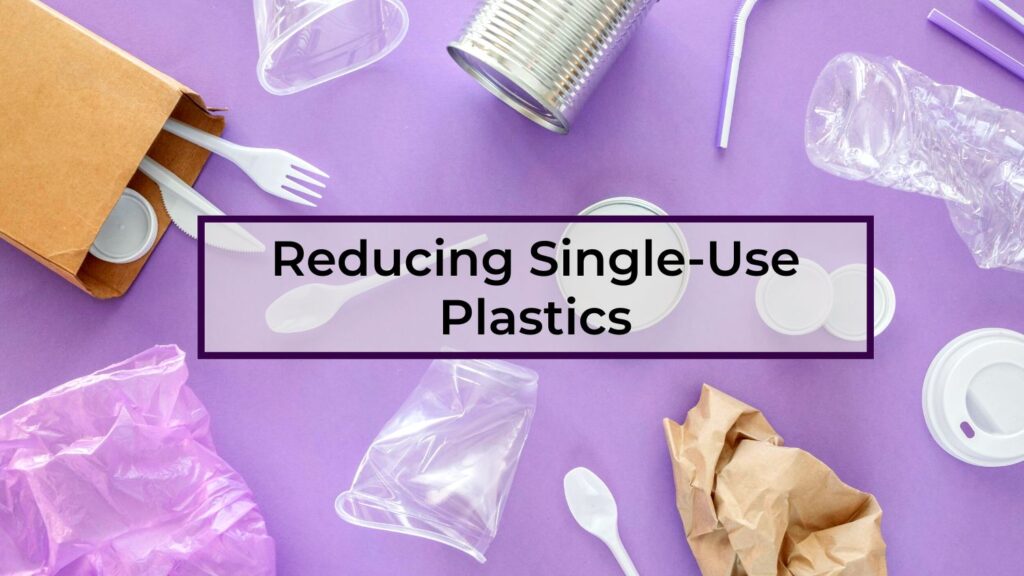 Reducing-Single-Use-Plastics