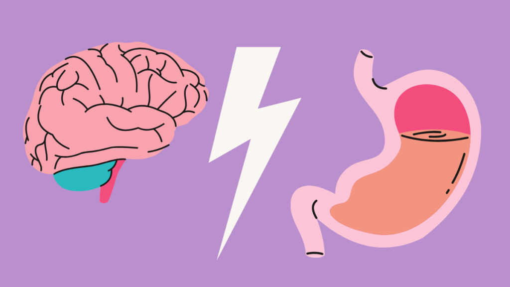 gut-brain-connection